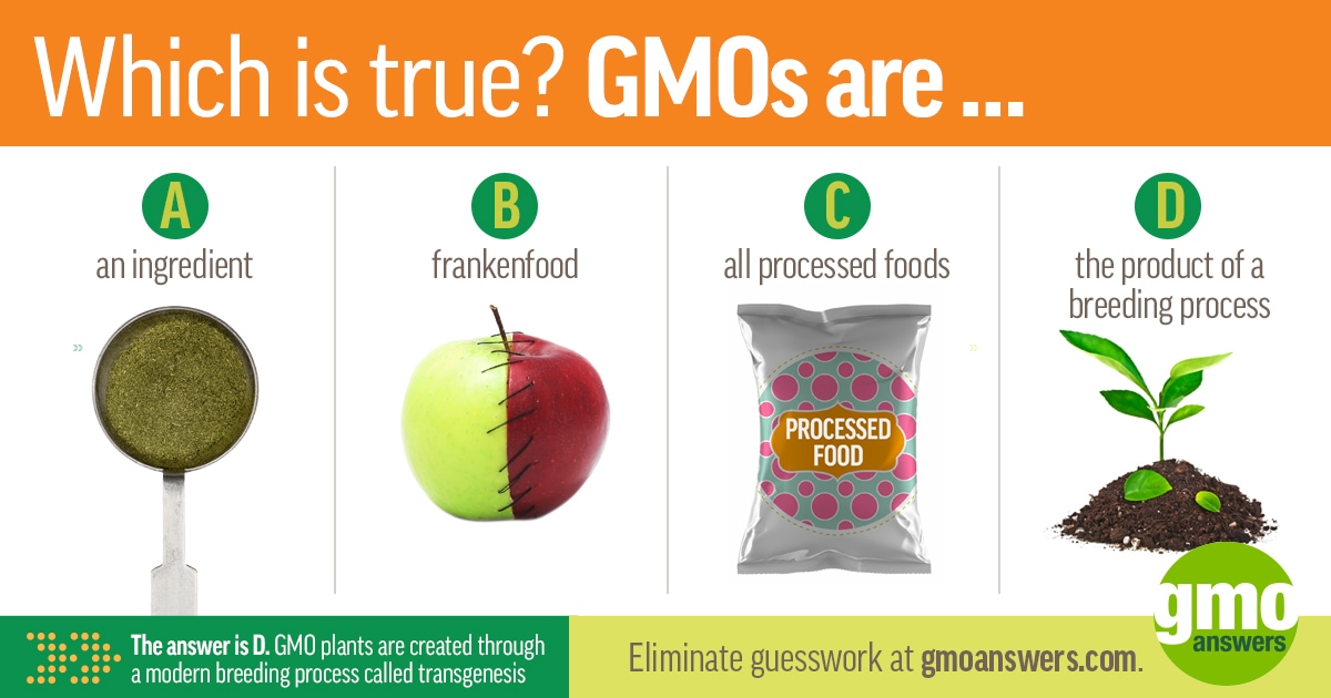 difference between organic and gmo